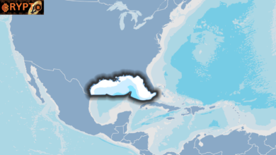 Gulf of mexico map